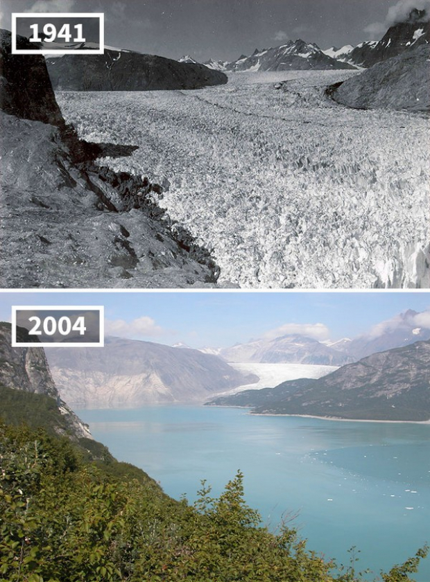 Alaska’daki Muir Buzulu tamamen erimiş
