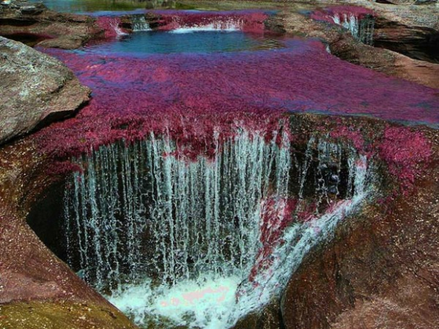 Cano Cristales- Beş Renkli Nehir
