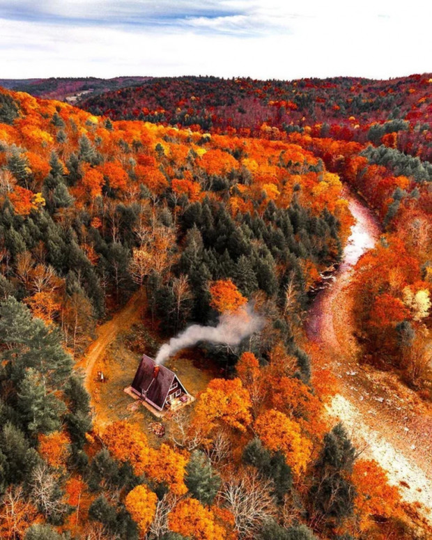 9. Sonbaharda ABD, Massachusetts'in turuncu ormanları