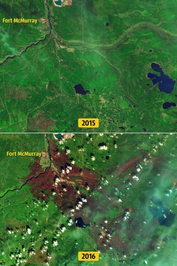 2. Kanada’daki orman yangınının sonucu