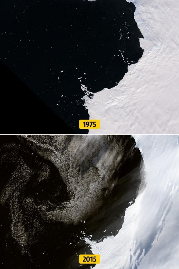7. Antarktika’daki buzulların boyutlarında yaşanan azalma ve küçülme