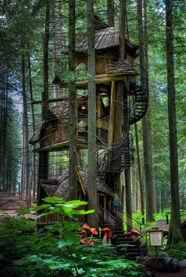 Dünyanın En İlginç Ağaç Evleri