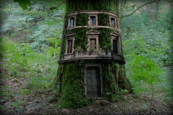 Dünyanın En İlginç Ağaç Evleri
