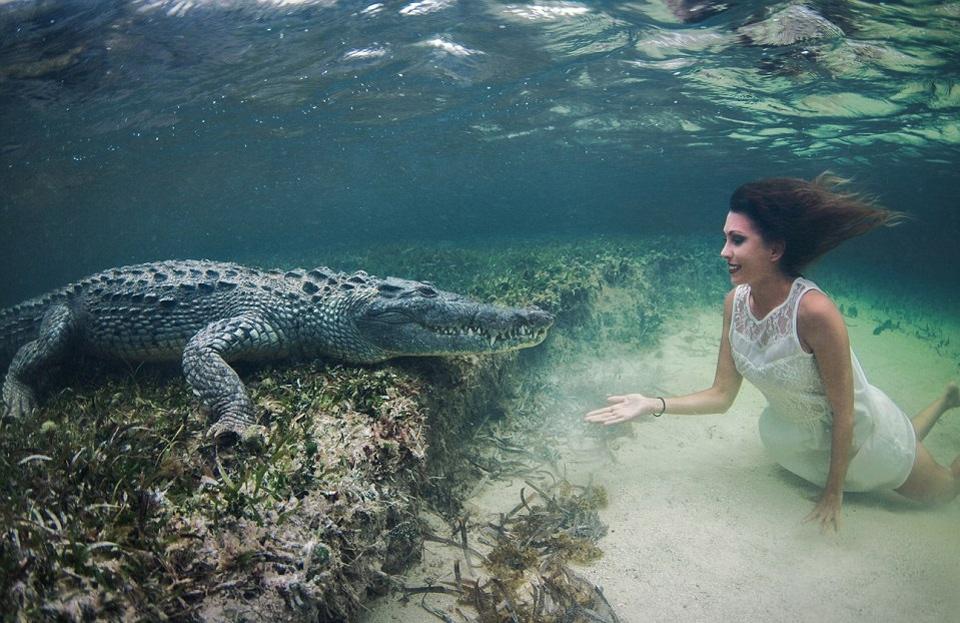 1girl-swims-with-a-crocodile-mexico.jpg